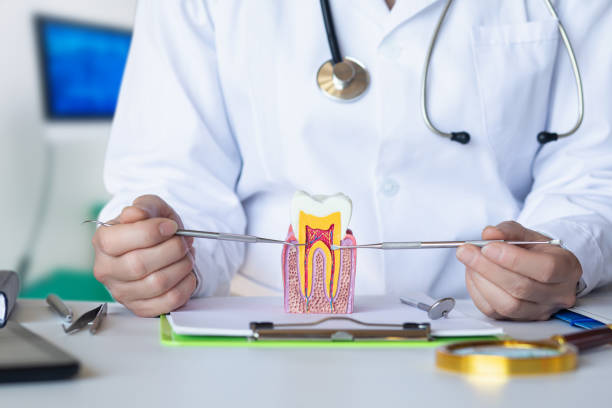Best Emergency Dental Extractions in Oxford, AL